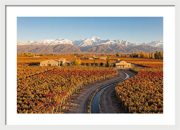 Mendoza Wine Region Serenity
