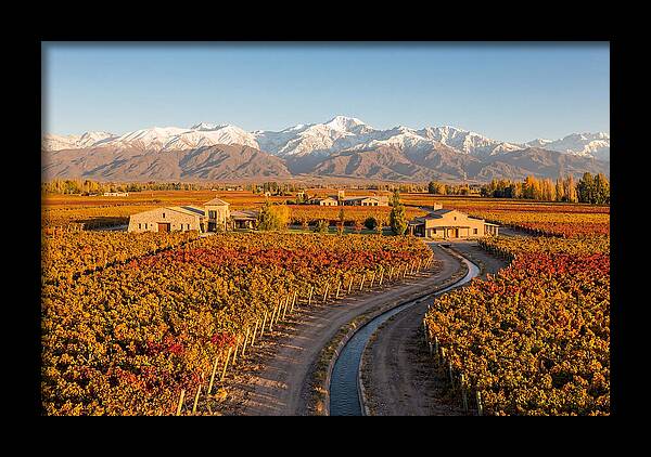 Mendoza Wine Region Serenity
