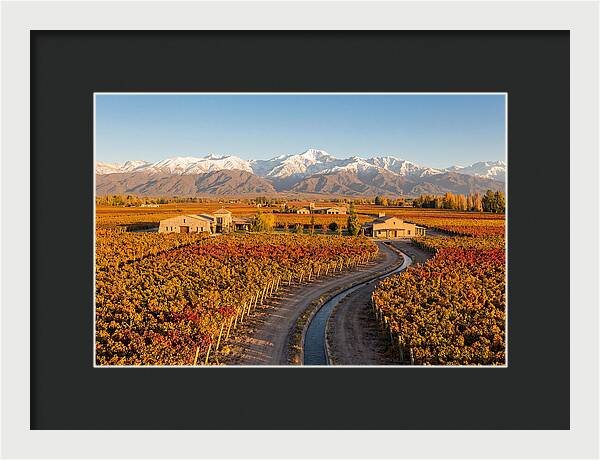 Mendoza Wine Region Serenity