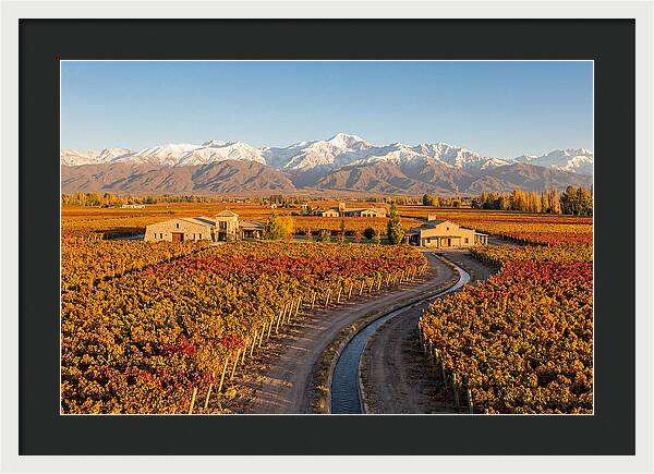 Mendoza Wine Region Serenity