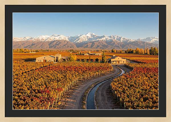Mendoza Wine Region Serenity