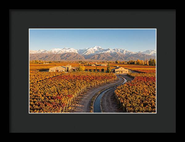 Mendoza Wine Region Serenity