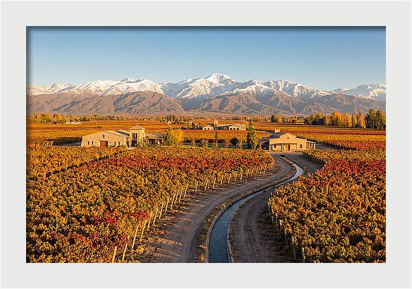 Mendoza Wine Region Serenity