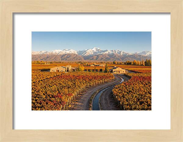 Mendoza Wine Region Serenity