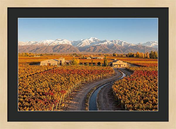 Mendoza Wine Region Serenity
