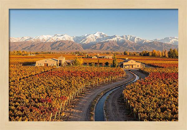 Mendoza Wine Region Serenity