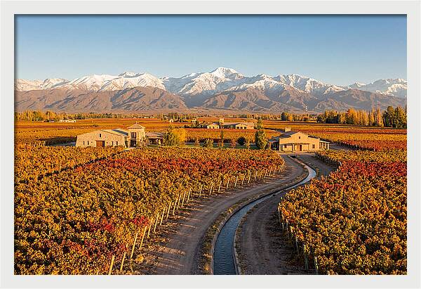 Mendoza Wine Region Serenity