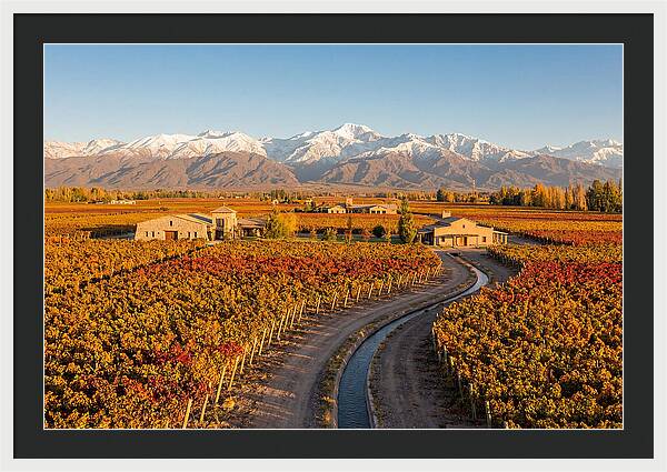 Mendoza Wine Region Serenity