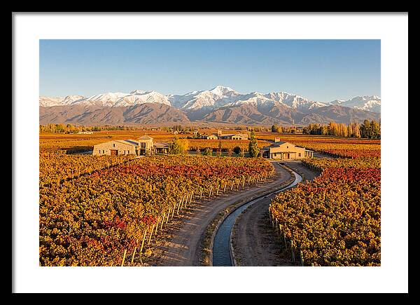 Mendoza Wine Region Serenity