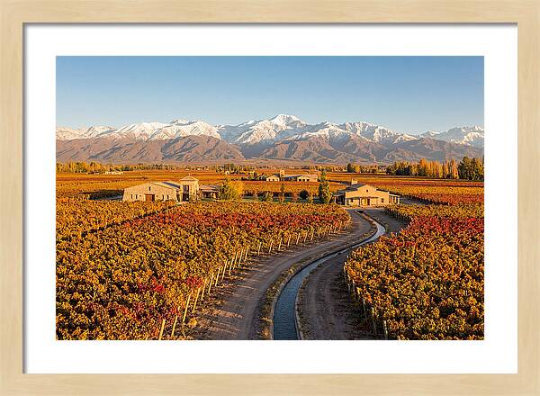 Mendoza Wine Region Serenity