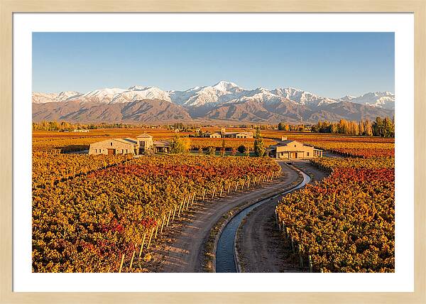 Mendoza Wine Region Serenity