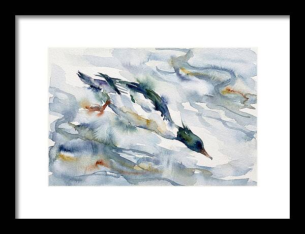 Merganser In Motion