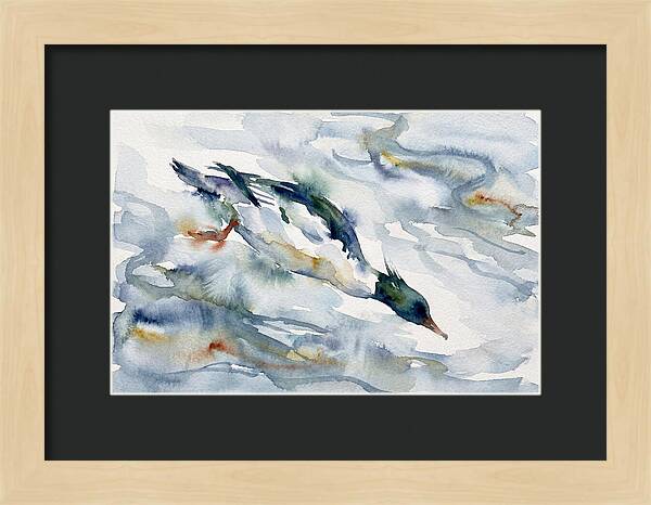 Merganser In Motion