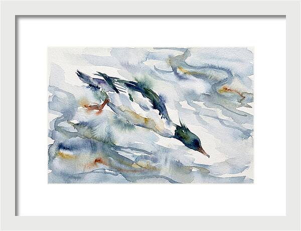 Merganser In Motion