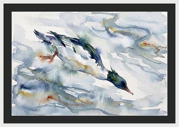 Merganser In Motion