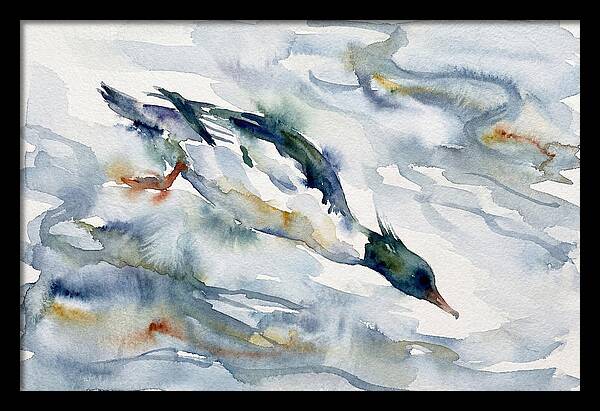 Merganser In Motion