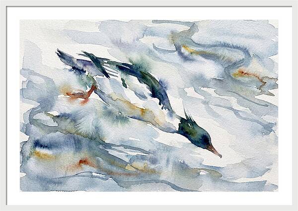 Merganser In Motion