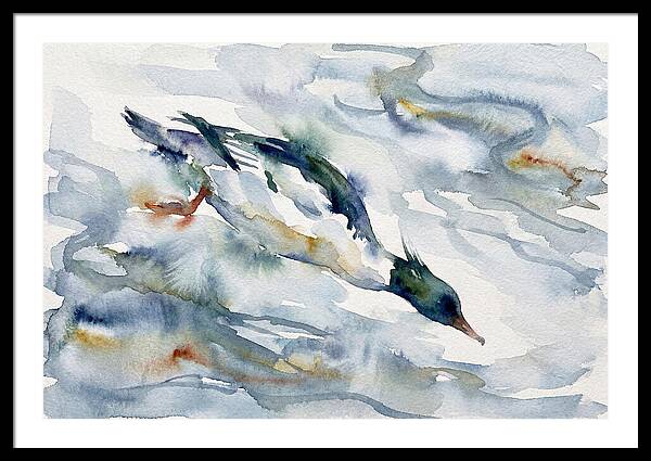 Merganser In Motion