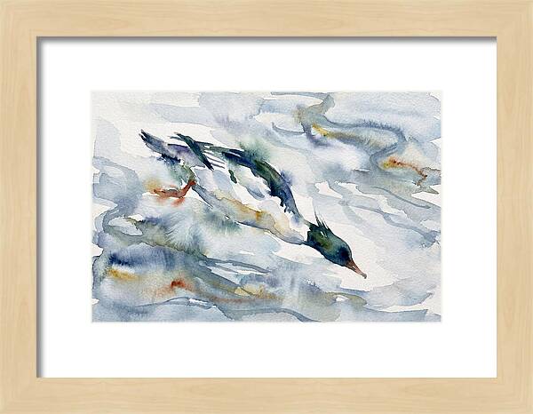 Merganser In Motion