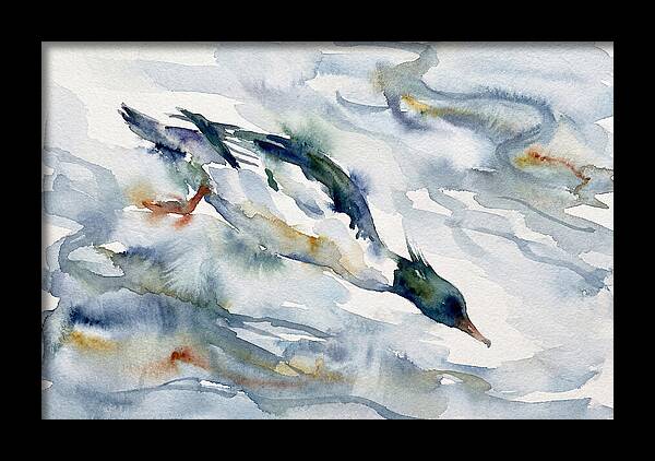 Merganser In Motion