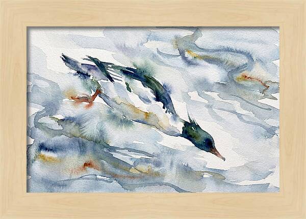 Merganser In Motion