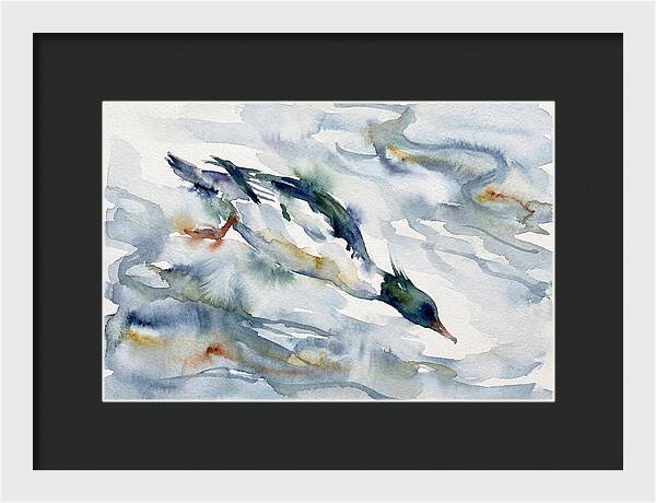 Merganser In Motion