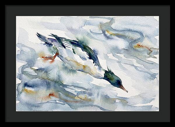 Merganser In Motion