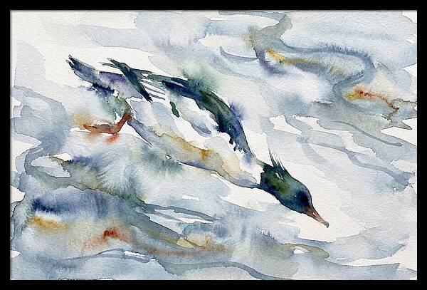Merganser In Motion