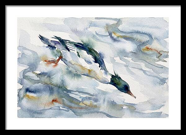 Merganser In Motion