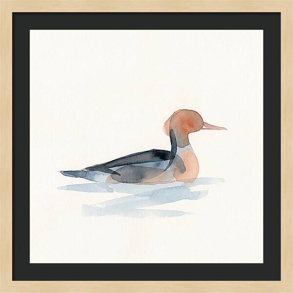 Merganser Serenity