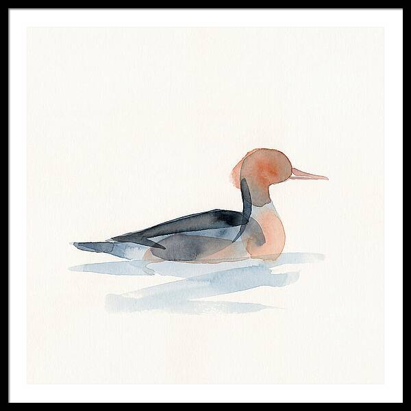 Merganser Serenity