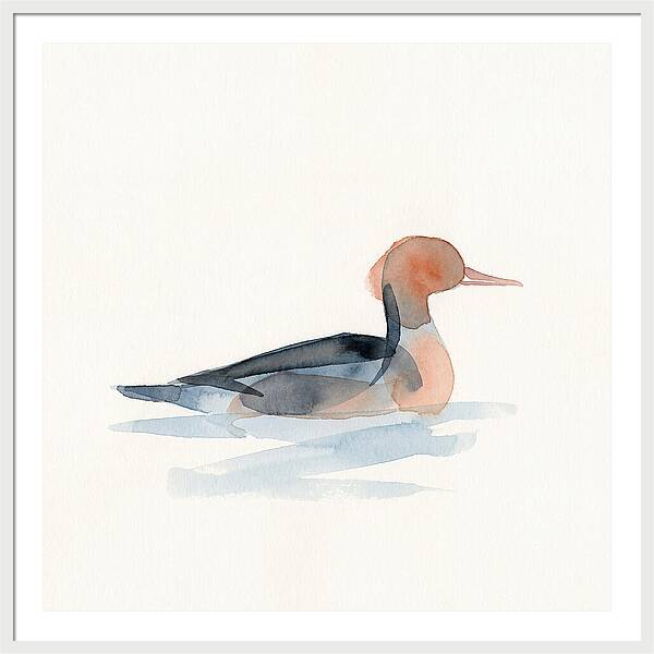 Merganser Serenity