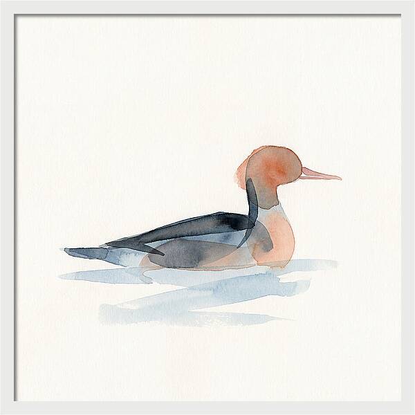Merganser Serenity