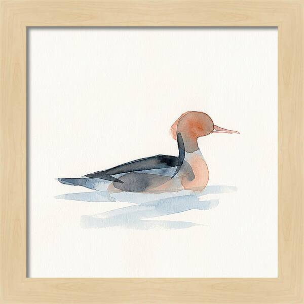 Merganser Serenity