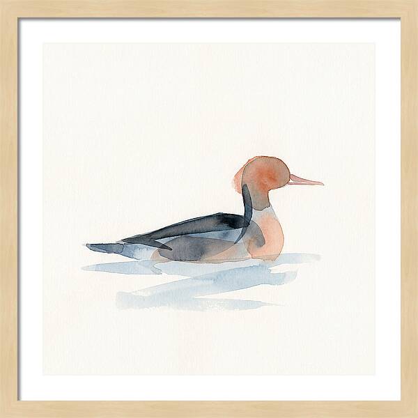 Merganser Serenity