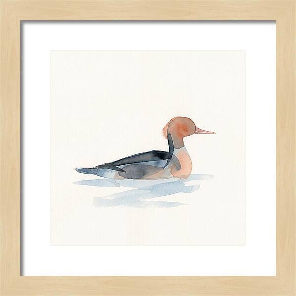 Merganser Serenity