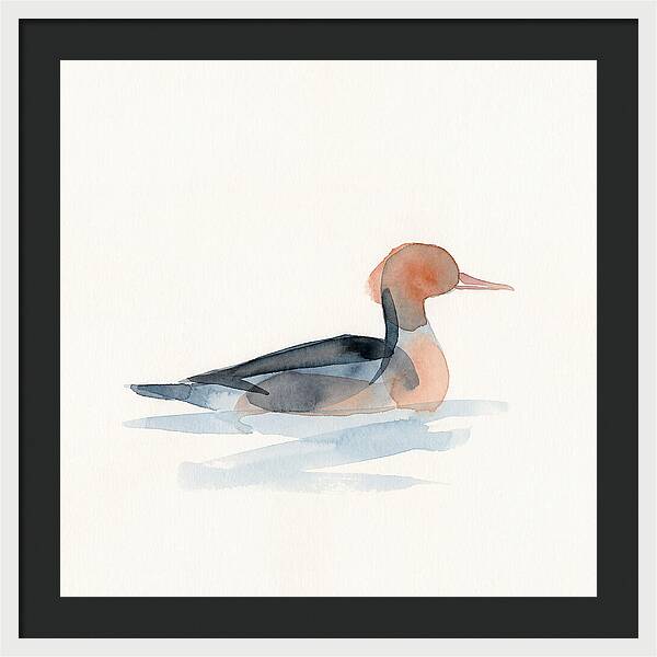 Merganser Serenity