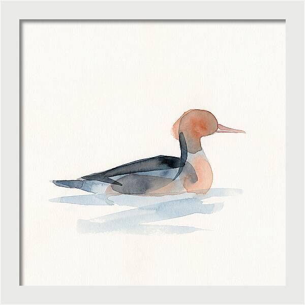 Merganser Serenity
