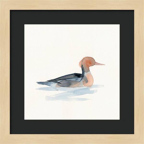 Merganser Serenity