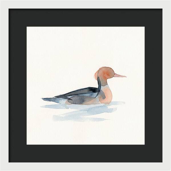 Merganser Serenity