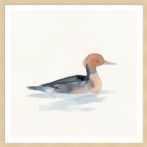 Merganser Serenity