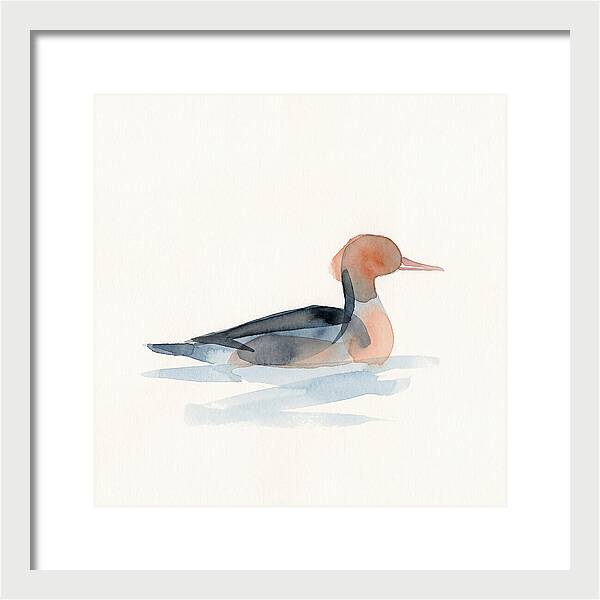 Merganser Serenity