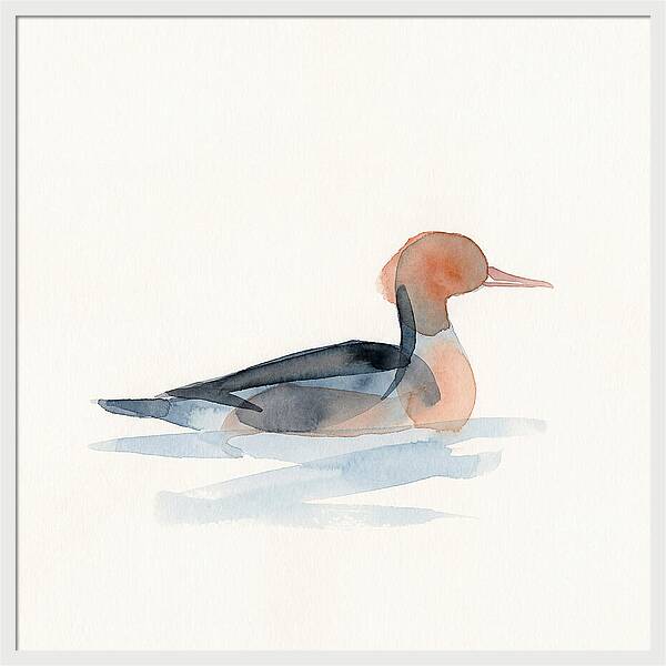 Merganser Serenity
