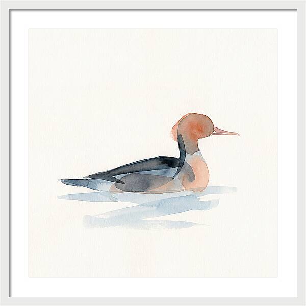 Merganser Serenity