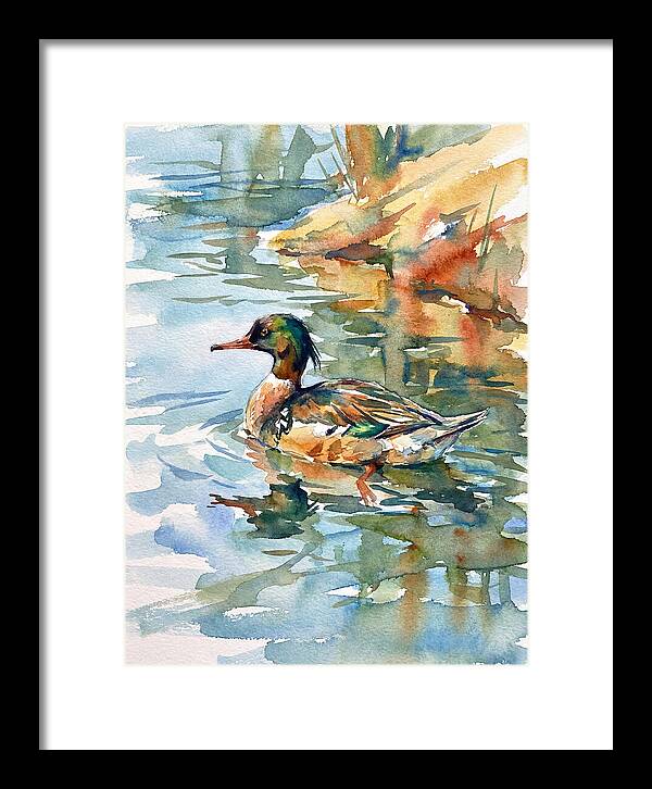 Merganser Swimming Serenity