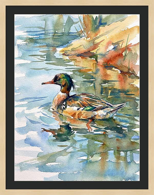 Merganser Swimming Serenity