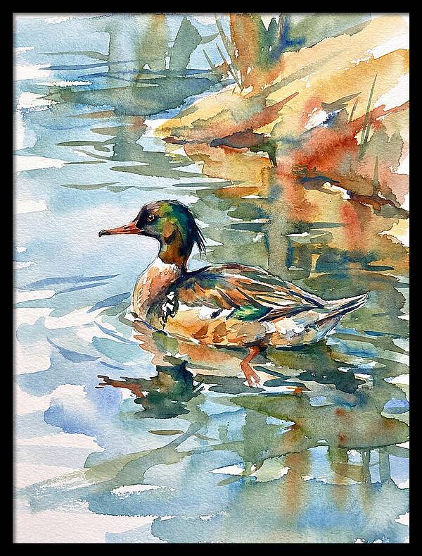 Merganser Swimming Serenity