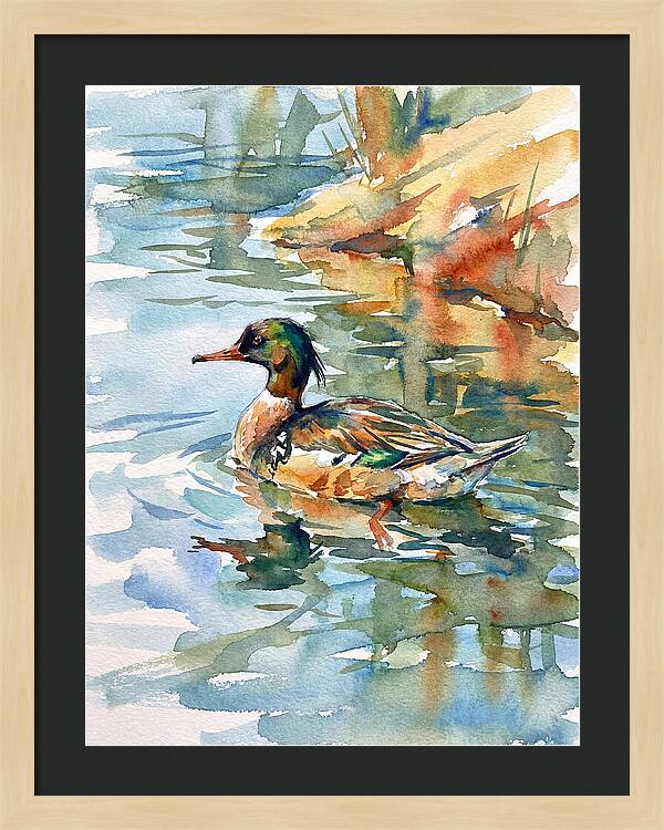 Merganser Swimming Serenity