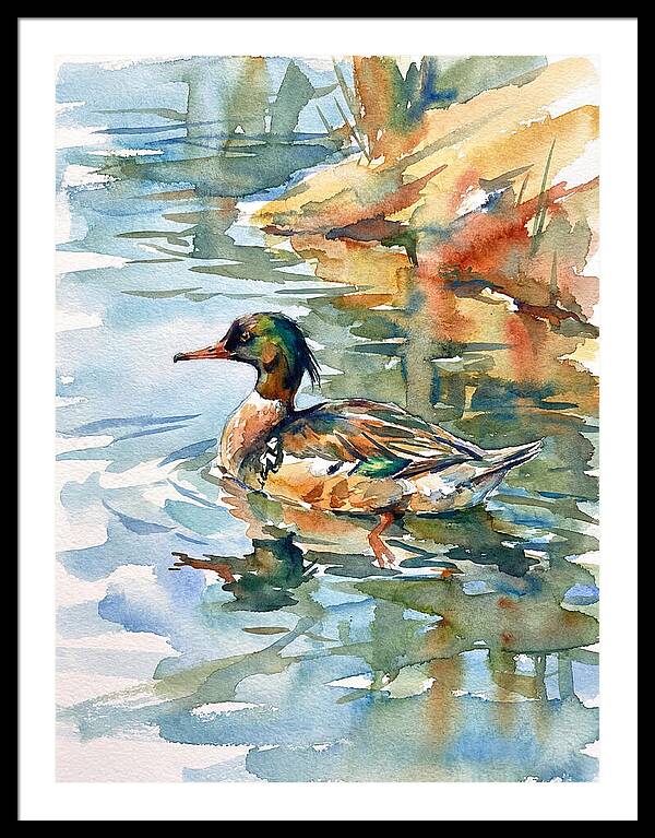 Merganser Swimming Serenity