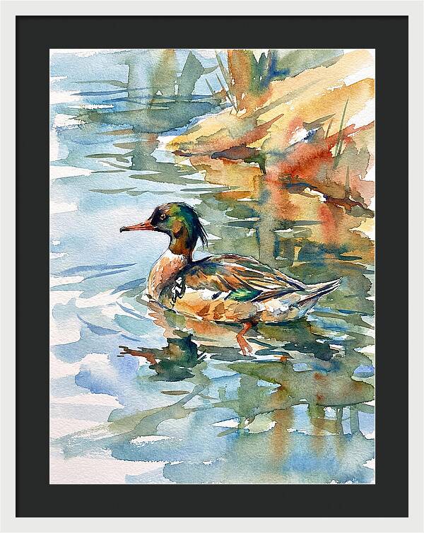 Merganser Swimming Serenity